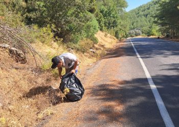 Orman Yangınlarına Karşı Mücadele Çalışmaları Sürüyor