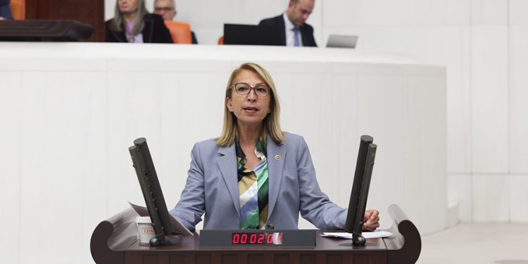 CHP’li Öneş Derici: “TBMM, Orman Yangınlarını Araştırsın”