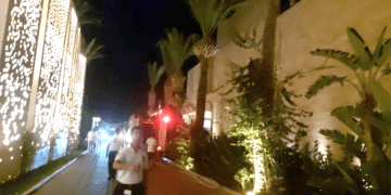 Marina’daki restoranda korkutan yangın