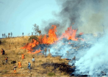 Bodrum Yakaköy’de yangın kabusu alevler evlere yaklaştı