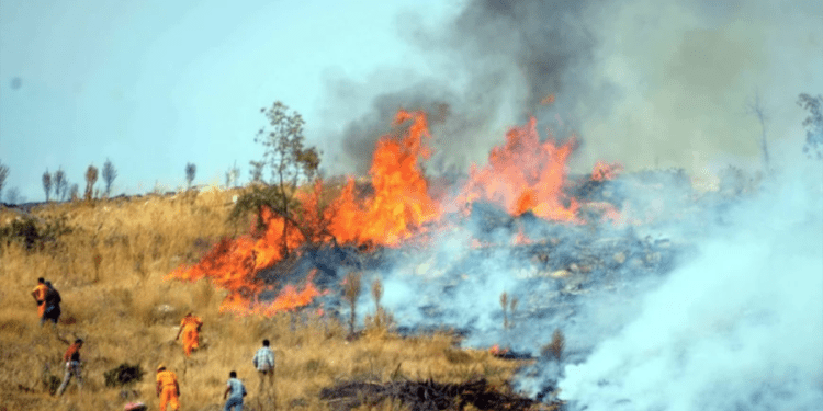 Bodrum Yakaköy’de yangın kabusu alevler evlere yaklaştı