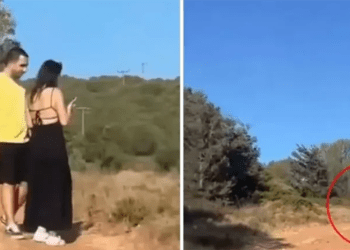 Tatil için gittikleri konumda hayatlarının şokunu yaşadılar