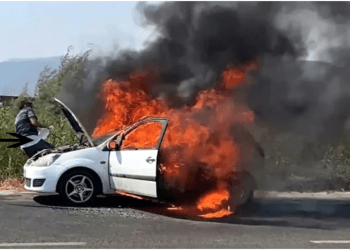 Bodrum – Milas karayolunda yangın söndürme rezaleti 