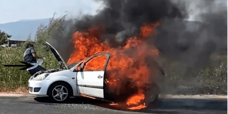 Bodrum – Milas karayolunda yangın söndürme rezaleti