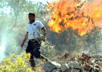 Yalıkavak’ta anız yakarken tarlayı yaktı, bir itfaiye eri hastanelik oldu