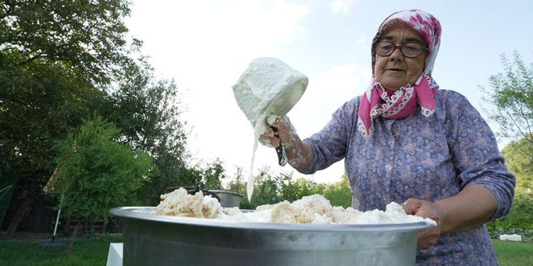 74 Yaşındaki Günay Teyze, Kim Milyoner Olmak İster’le Şöhreti Yakaladı