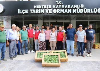 Muğla’da Kışlık Sebze Üretimi Güçleniyor: 162 Bin Fide Üreticiyle Buluştu