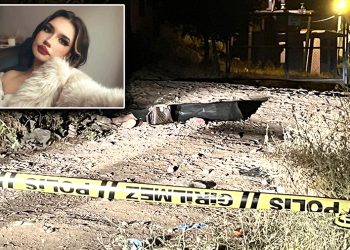 Üniversiteli Teslime orman yolunda başından vurulmuş halde ölü bulundu