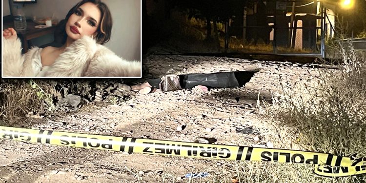 Üniversiteli Teslime orman yolunda başından vurulmuş halde ölü bulundu