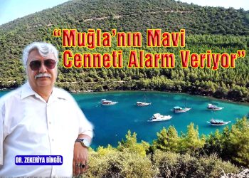 Muğla’nın Mavi Cenneti Alarm Veriyor: “Denizi Kaybedersek, Geleceğimizi Kaybederiz”