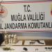 Muğla’da uyuşturucu operasyonu: 2 gözaltı