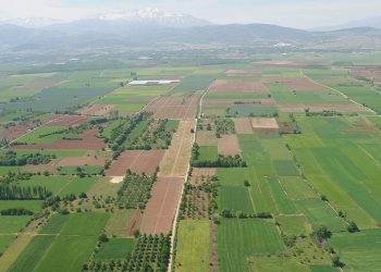 Boş Bırakılan Tarım Arazileri Devlet Eliyle Kiraya Verilecek! Uygulama 1 Eylül’de Başlıyor
