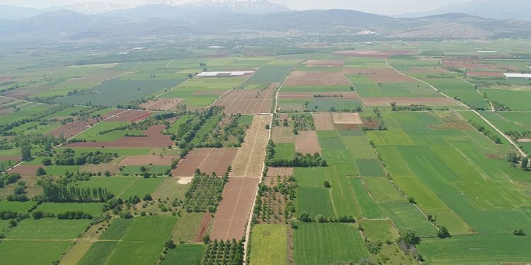 Boş Bırakılan Tarım Arazileri Devlet Eliyle Kiraya Verilecek! Uygulama 1 Eylül’de Başlıyor