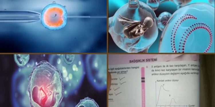 Silikon Vadisi’nde zeki bebek yarışı: Embriyo testlerine 50 bin dolar ödüyorlar