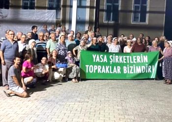 Milas ve Yatağanlı zeytin üreticileri harekete geçti, dava açıldı