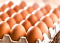 Yumurta Fiyatlarında Artış Bekleniyor: Uzmanlar Uyarıyor