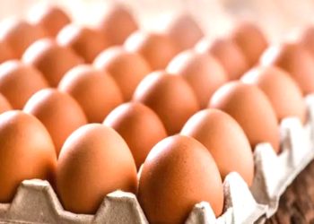 Yumurta Fiyatlarında Artış Bekleniyor: Uzmanlar Uyarıyor