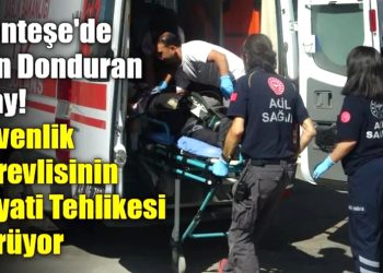 Menteşe’de Kan Donduran Olay! Güvenlik Görevlisinin Hayati Tehlikesi Sürüyor