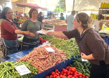 Kadın ve Aile Hizmetleri Ekipleri Sahada
