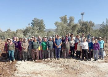 Bölge halkı taşınan zeytinleri yerinde gördü