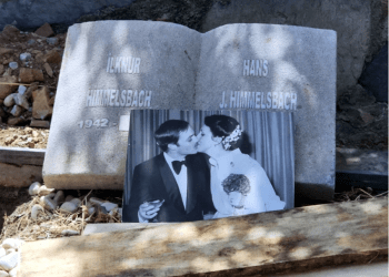 Bodrum’da yaşamını yitiren “Dağların Kraliçesi” ne büyük vefasızlık