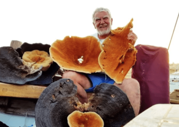 Aksona Mehmet… Bodrum’un efsane süngercisi son dalışını Ege’de yapacak