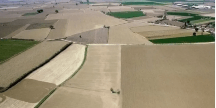 Arazi ve Parsel Düzenlemesinde Yeni Dönem: İmar Hakkı Aktarımı Başladı