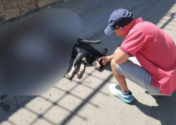 Torba Mahallesi yarış pistine döndü, olan canlara oldu