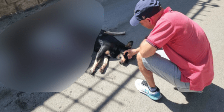 Torba Mahallesi yarış pistine döndü, olan canlara oldu