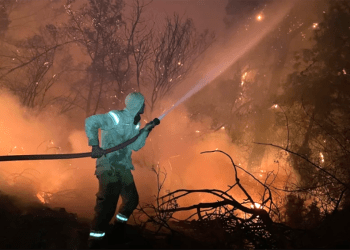 Muğla yangınları son durum… MUĞLA ORMAN YANGINLARI İÇİN SEFERBER OLDU