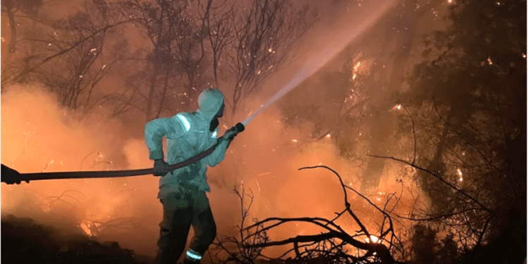 Muğla yangınları son durum… MUĞLA ORMAN YANGINLARI İÇİN SEFERBER OLDU