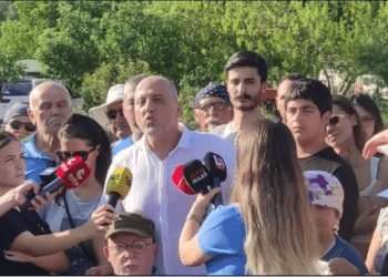 İkizköy Akbelen’deki zeytin sökümü TBMM’nde