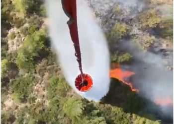 Güvercinlik’te ormanlık alanda yangın