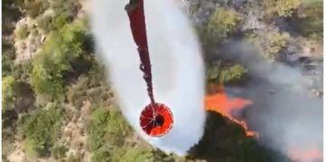 Güvercinlik’te ormanlık alanda yangın