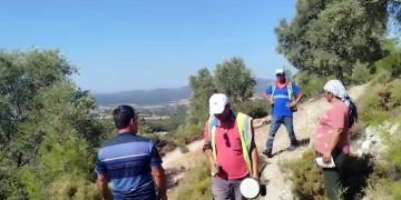 YK Enerji İkizköy- Akbelen’de zeytin tarlalarında zeytin ağaçlarının sayımına başladı köylü isyan etti