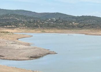 Bodrum’da su krizi derinleşiyor! Geyik Barajının su tahsisi düşürüldü