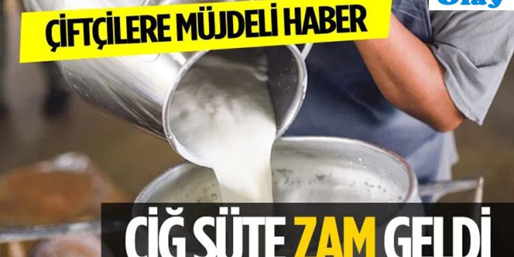 Muğla’da Süt Üreticilerine Müjde! Çiğ Süte Zam Geliyor