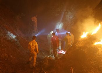 Muğla’dan Denizli’deki Orman Yangınına Destek