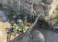 Ege Denizi’nde İzmir açıklarında denizde Türk mahkum arıyorlar