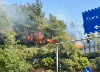 Bodrum orman yangını kontrol altına alındı