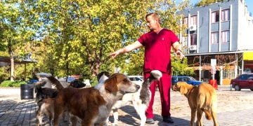 Muğla’da sahipsiz köpek sayımı yapılacak, hayvanseverlerden tepki geldi