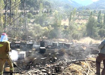 Ormancı Türküsü’nün yakıldığı Gevenes’te bu defa arı kovanları yandı