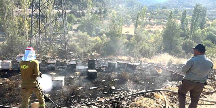 Ormancı Türküsü’nün yakıldığı Gevenes’te bu defa arı kovanları yandı