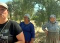 İçtaş Akbelen’de sondaj ve zeytin sayımına başladı köylü isyan etti, nöbete başladılar