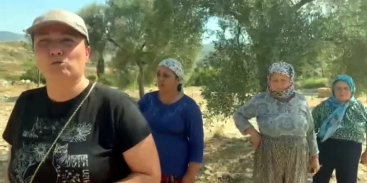İçtaş Akbelen’de sondaj ve zeytin sayımına başladı köylü isyan etti, nöbete başladılar