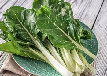 Pazarda kilosu 50 liradan satılıyor! Kemikleri beton gibi yapıyor