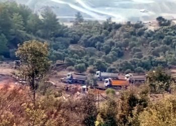 İkizköy Akbelen’de zeytinleri sökmeye başladılar