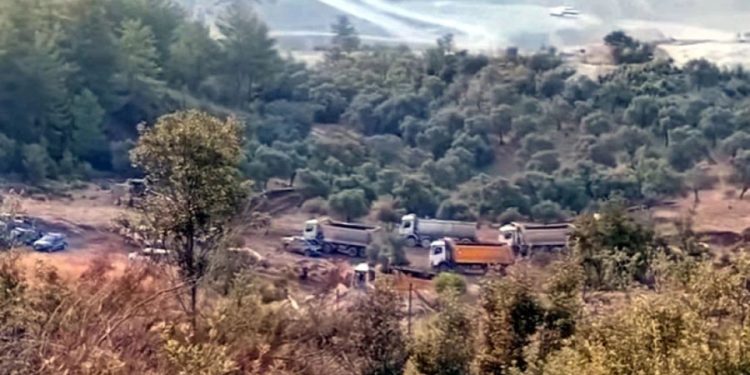 İkizköy Akbelen’de zeytinleri sökmeye başladılar