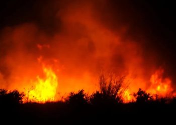 Bodrum Akyarlar’da makilik yangını paniğe yol açtı