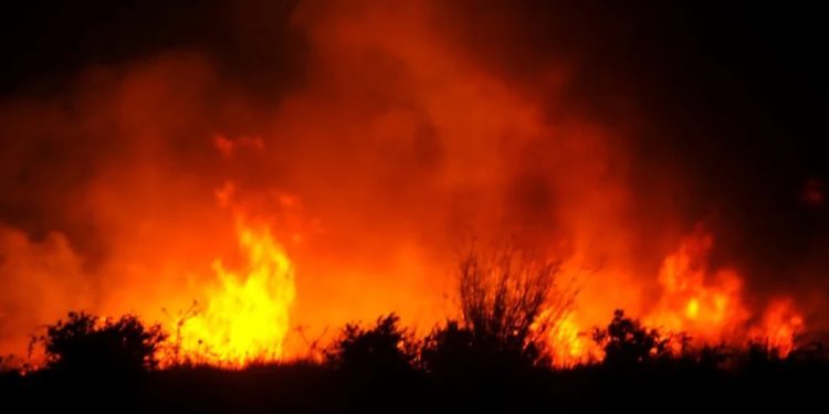 Bodrum Akyarlar’da makilik yangını paniğe yol açtı